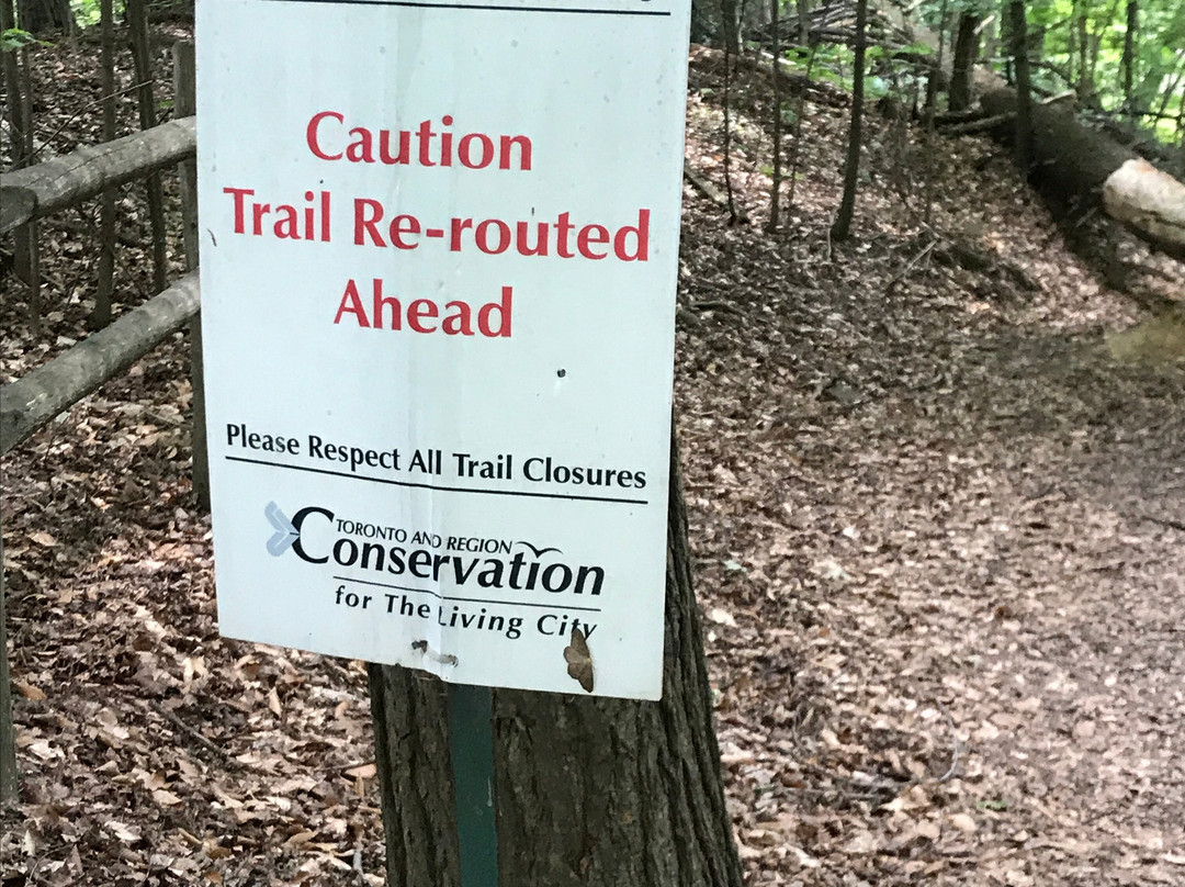 Bruce's Mill Conservation Park景点图片