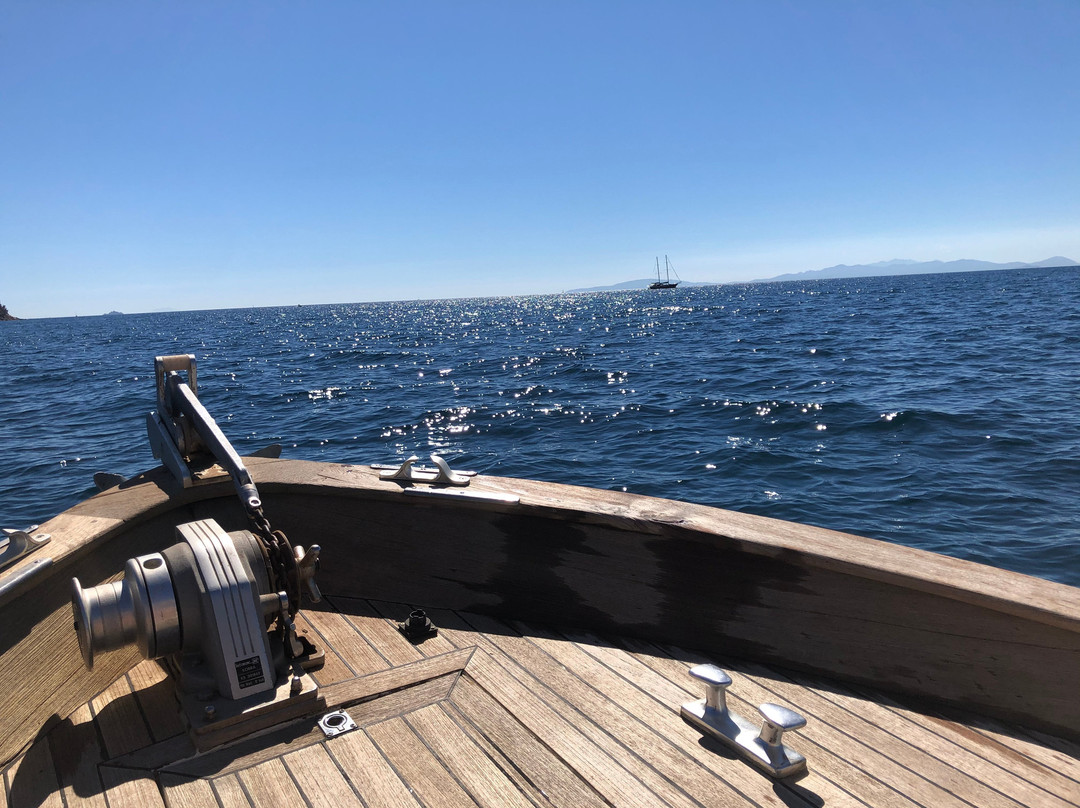 Cala Violina Boat Tour景点图片