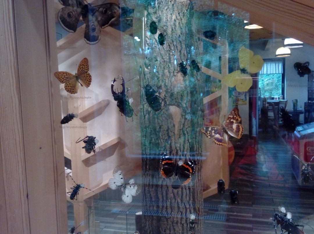 Kőhalmy Hunting Museum景点图片