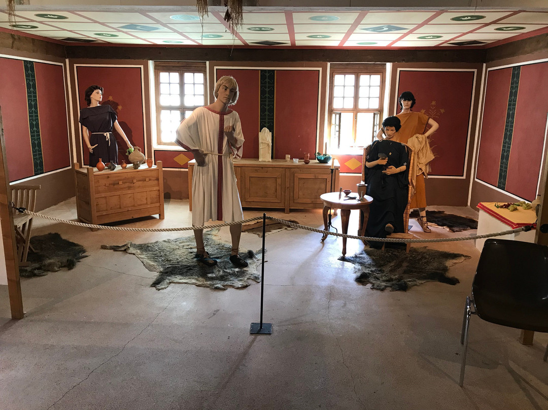 Roman Open Air Museum景点图片