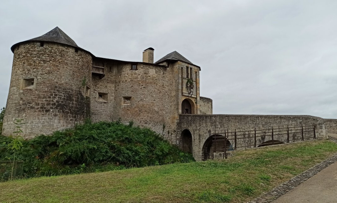 Château-fort de Mauléon景点图片
