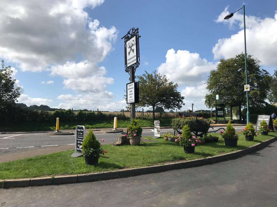 Combe Hay餐馆和美食-The Cross Keys