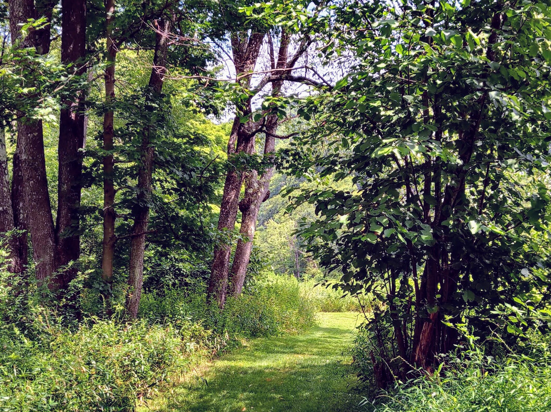 Oil Creek State Park景点图片