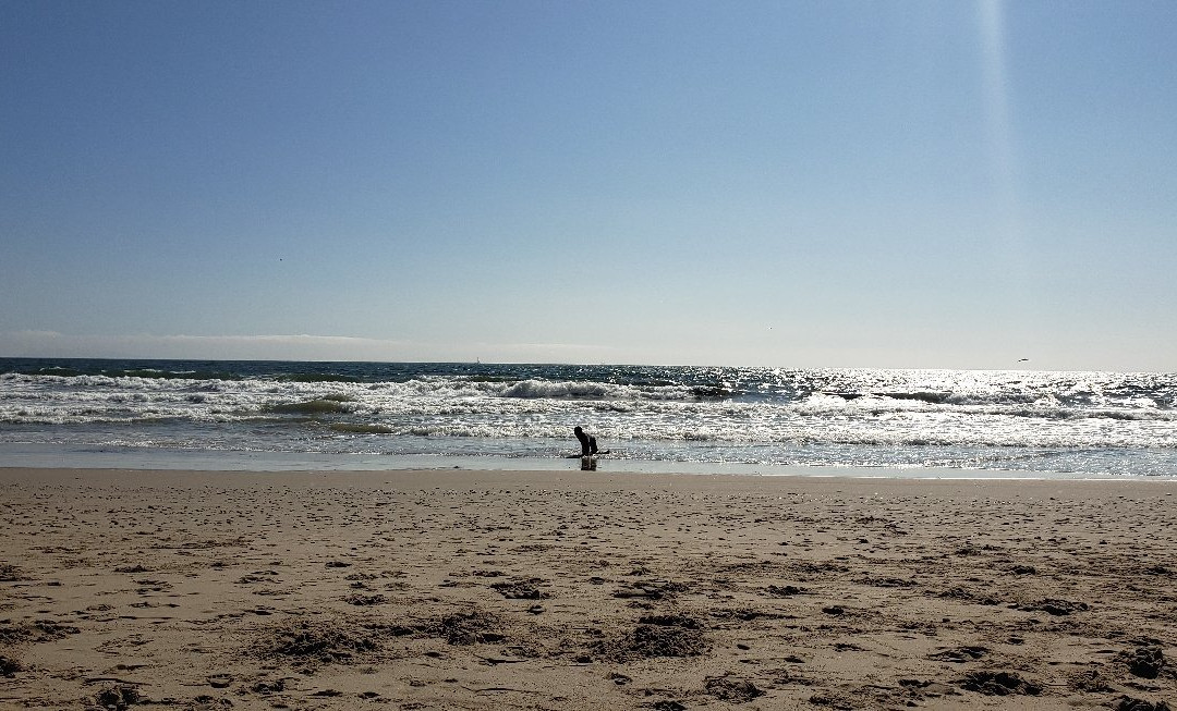 Mandalay State Beach-奥克斯纳德必去景点