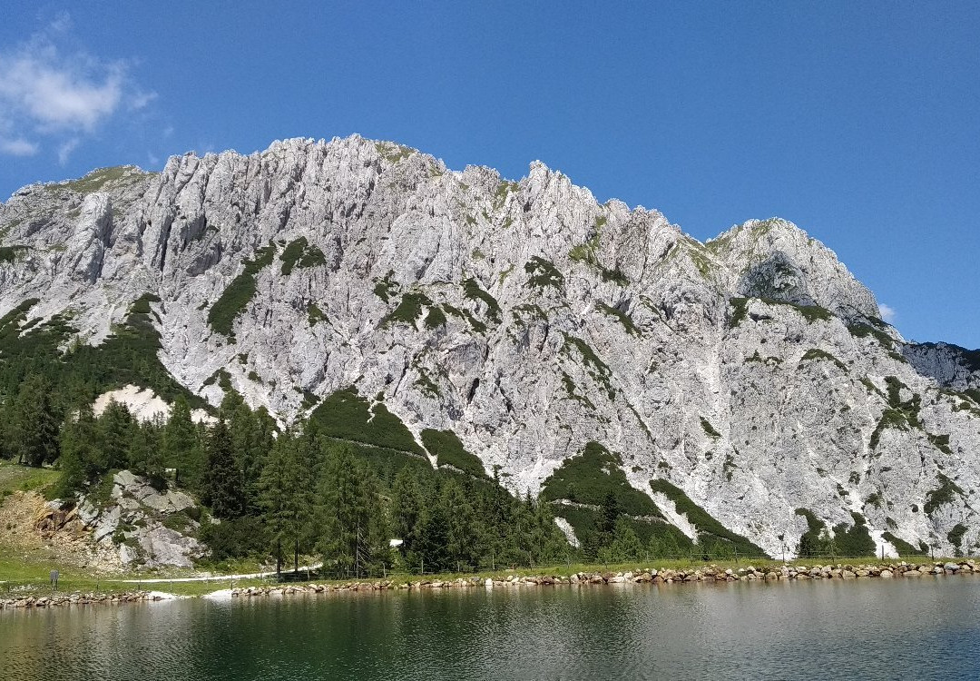 Al Gallo Forcello 1530主图