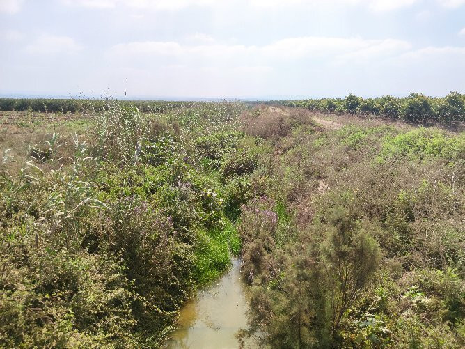 Hadera River Park-Hadera必去景点