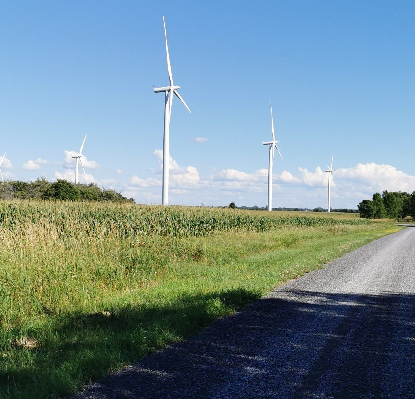 Wolfe Island Wind Farm景点图片