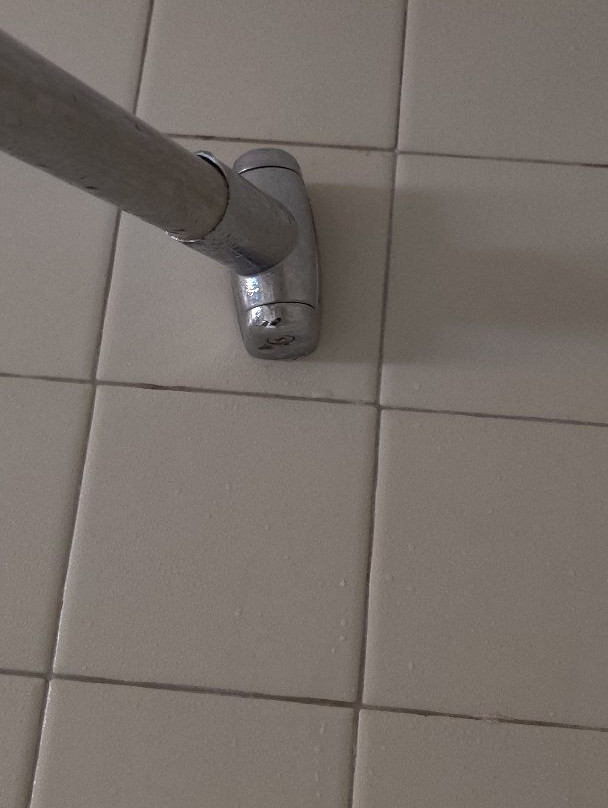 Wingate by Wyndham Tupelo主图