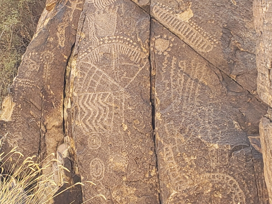 Mountain View Lodge主图