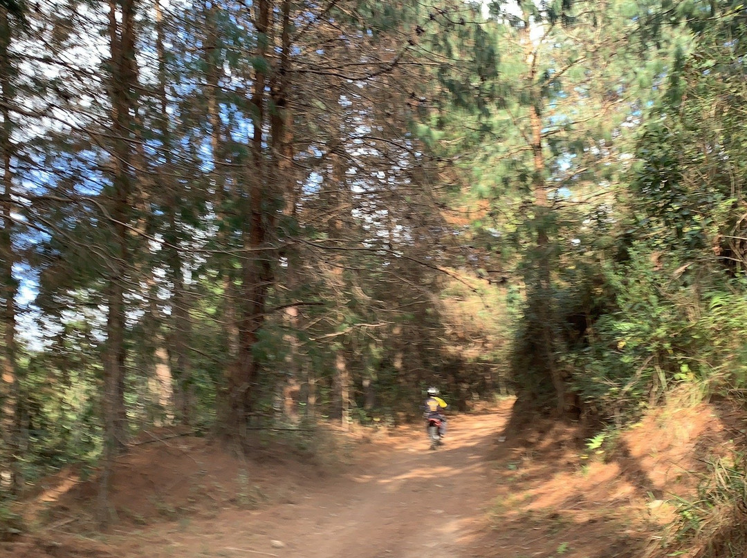 UTV Monte Verde-蒙特贝尔德必去景点