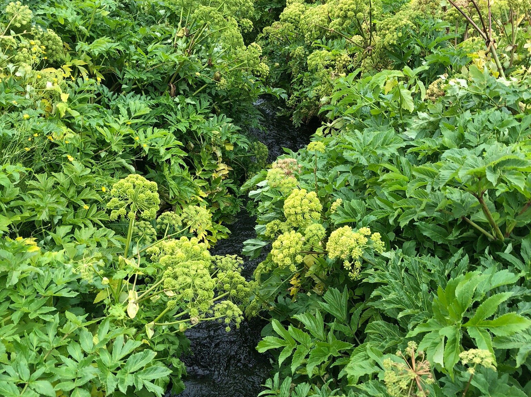 Gjáin-Svartsengi必去景点