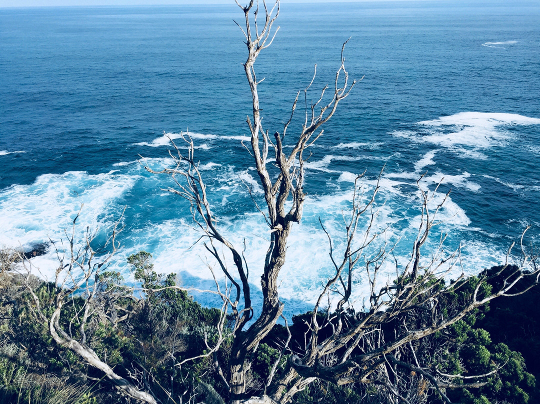 The Arch-坎贝尔港必去景点