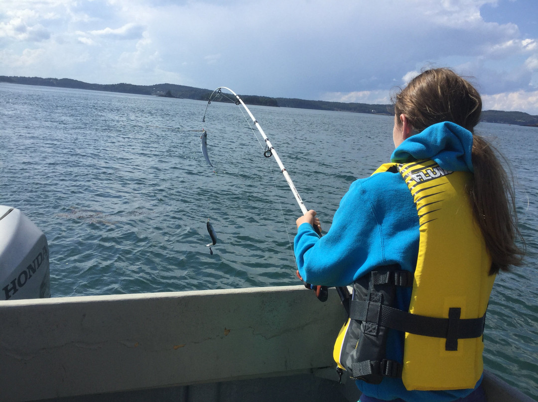 Capt. Riddle's Whale Watch Cruises-Campobello Island必去景点
