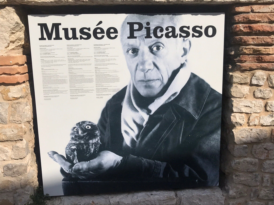 Cathedrale Notre Dame de la Platea d'Antibes-安提贝必去景点