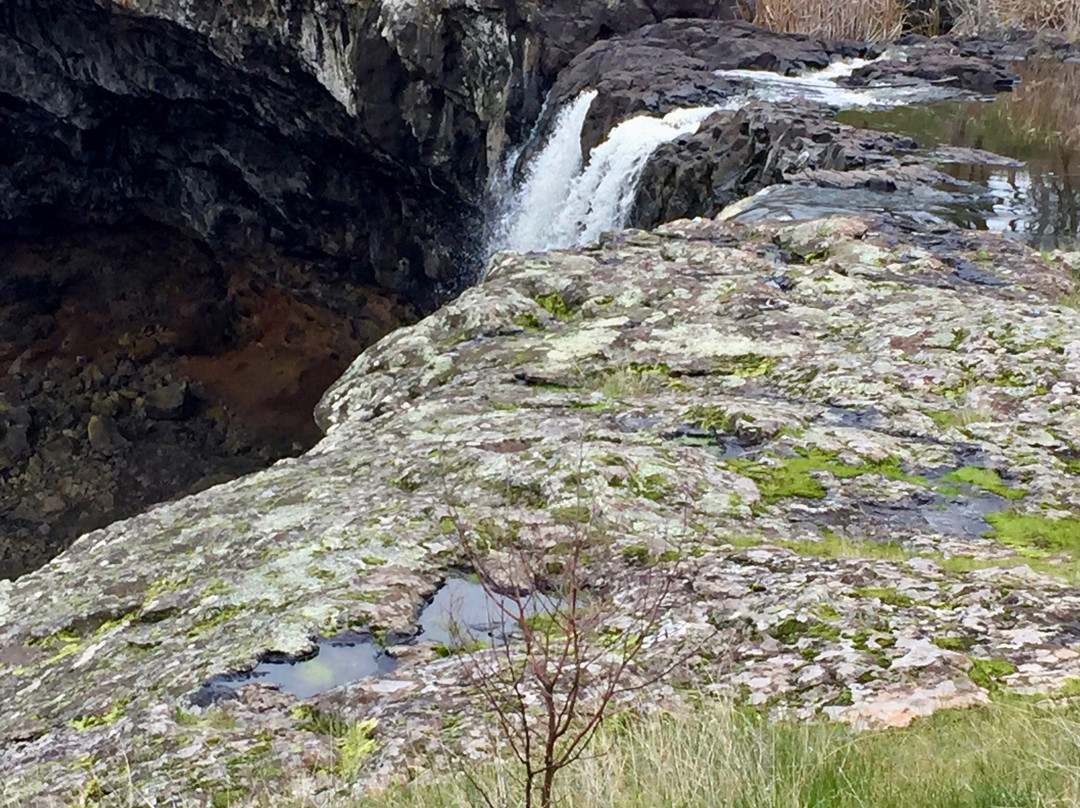 Wannon Falls-哈密尔顿必去景点