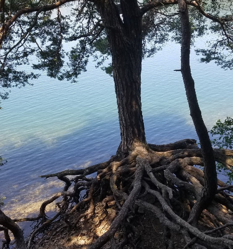 Le lac d'Issarlès-Le Lac-d'Issarles必去景点