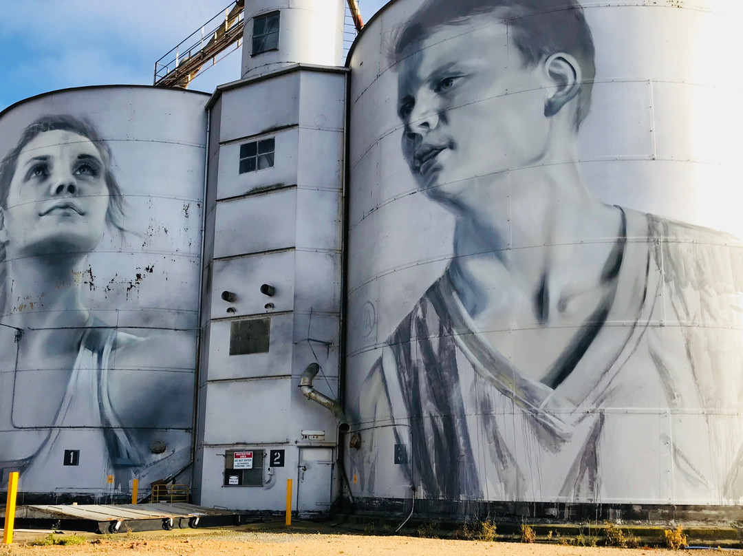 Rupanyup Silo Art-Rupanyup必去景点