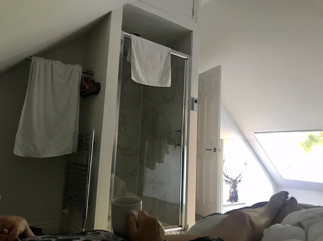 Newmarket Boutique Apartments主图
