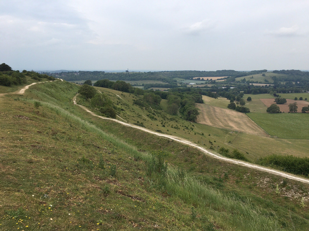 Cissbury Ring景点图片