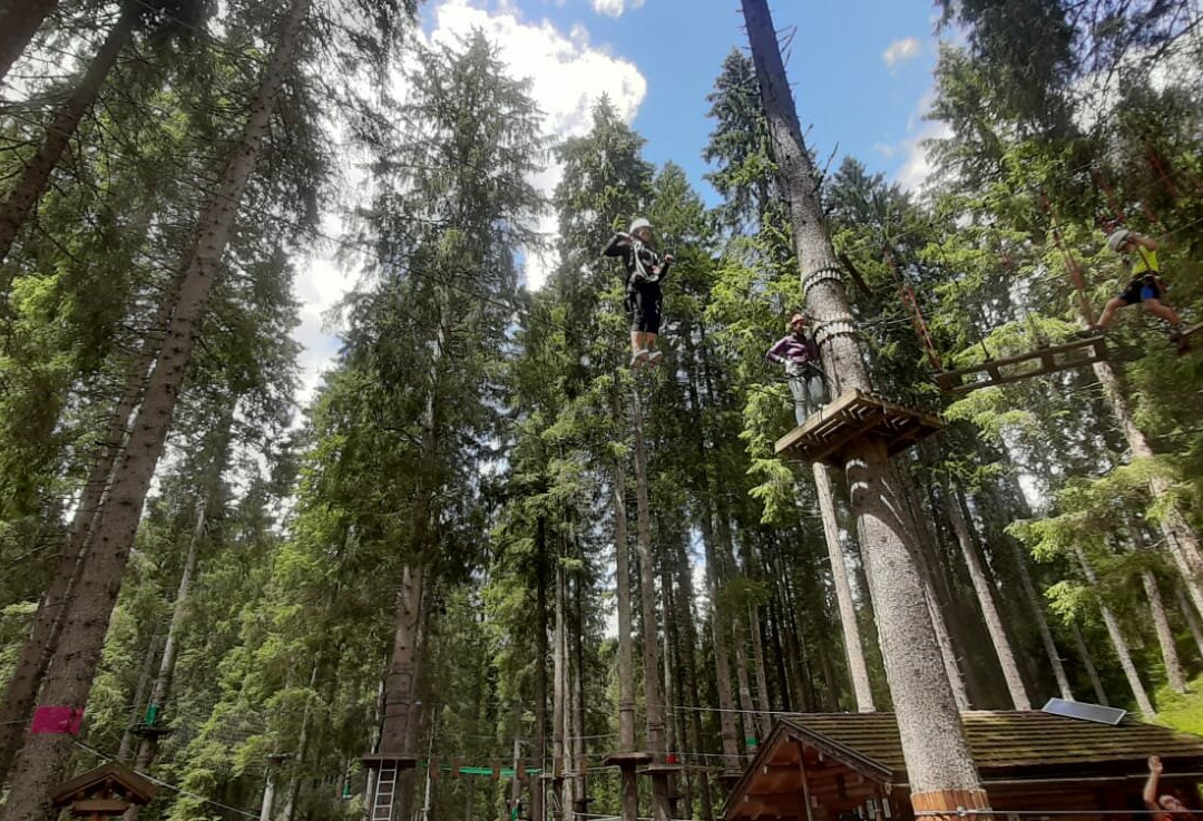 Agility Forest San Martino di Castrozza景点图片