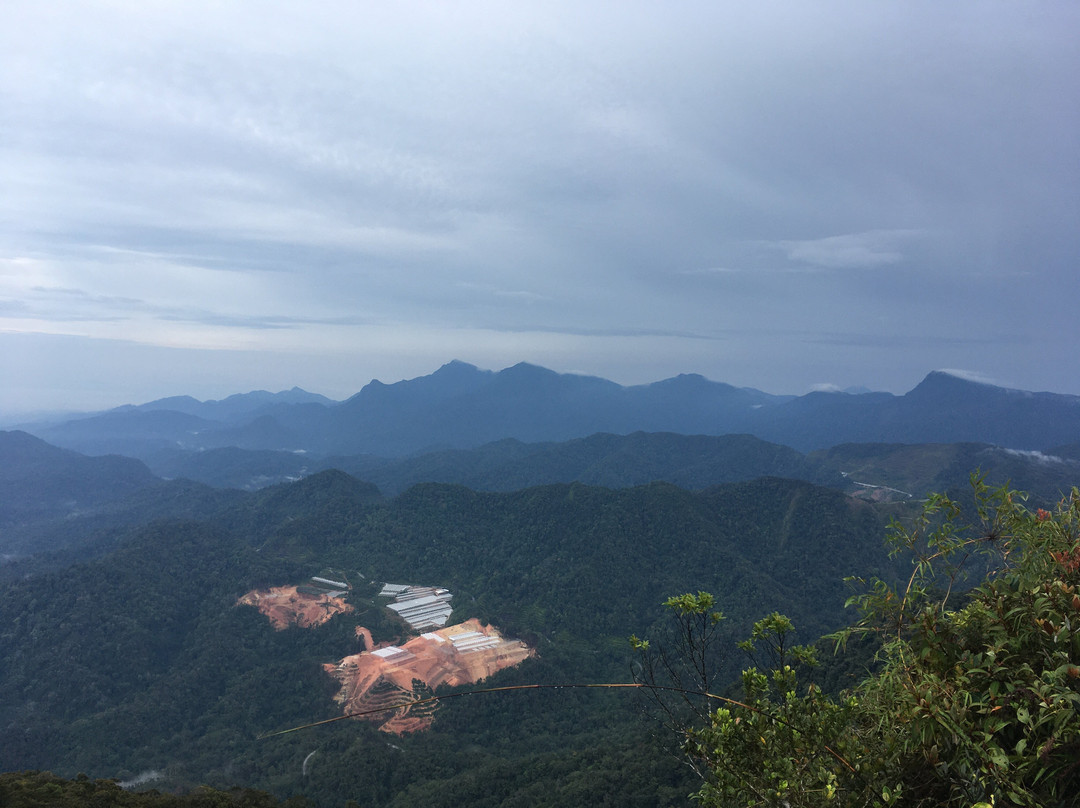 Gunung Irau (Mount Irau)-碧兰璋必去景点