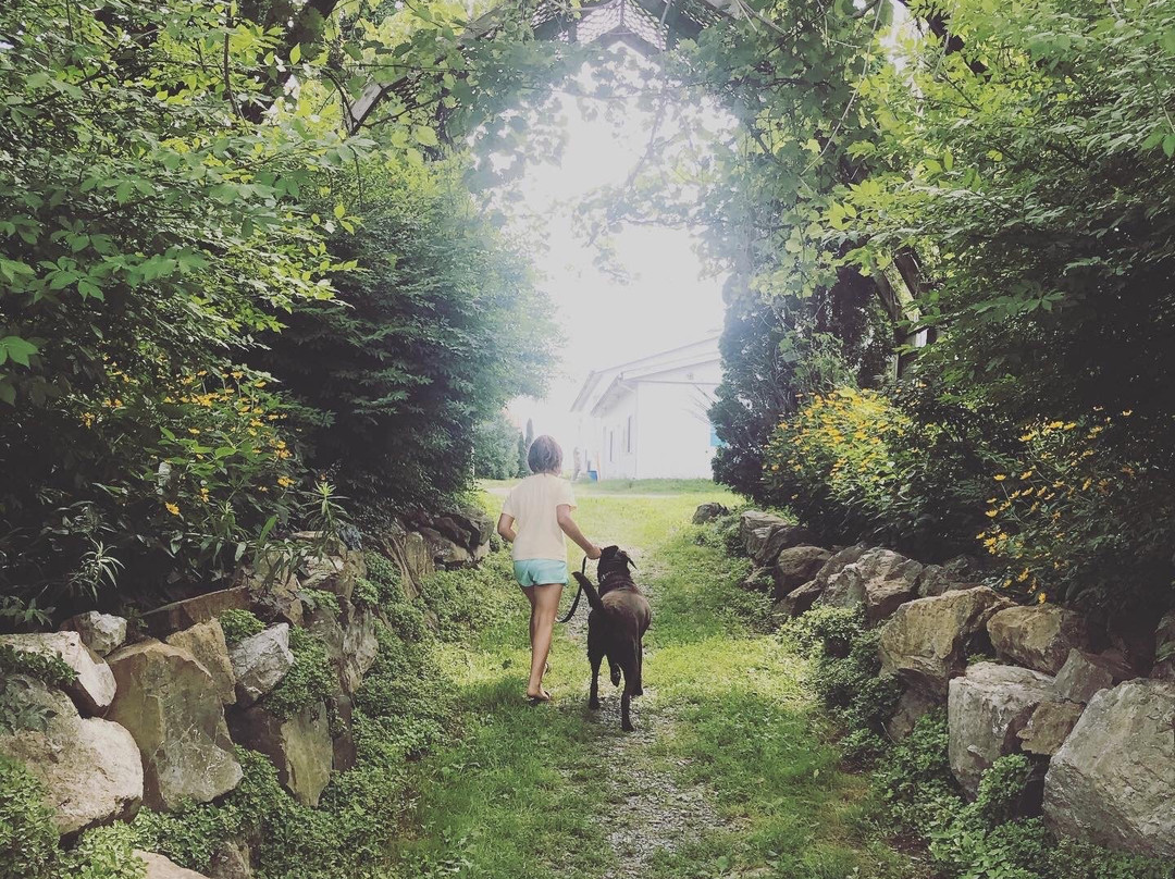 Vignoble de la Bauge  -Brigham必去景点