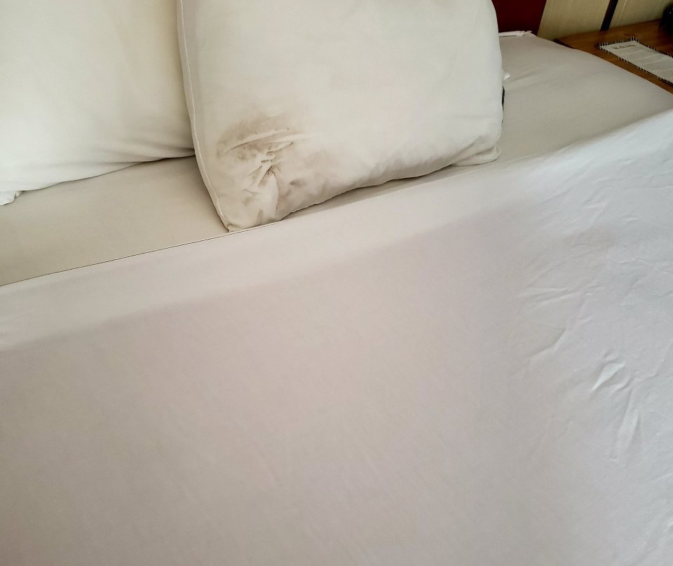 Thunderbird Inn主图