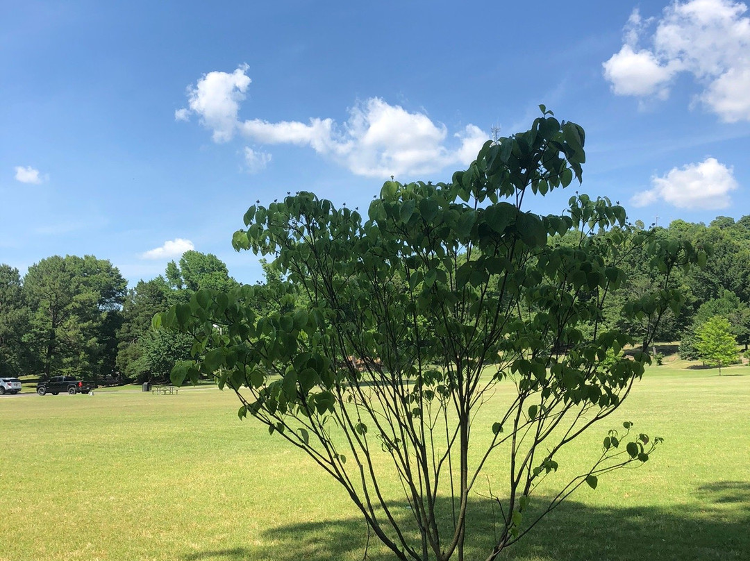 Honor Heights Park-马斯科吉必去景点