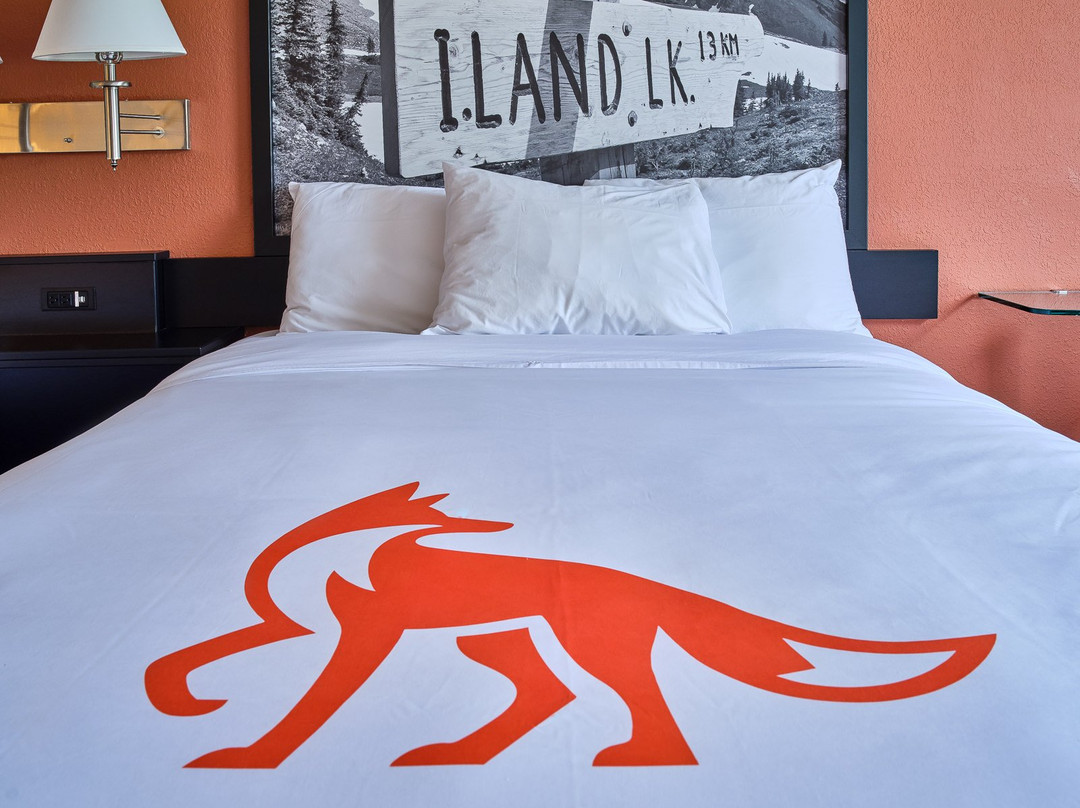 Fernie Fox Hotel主图