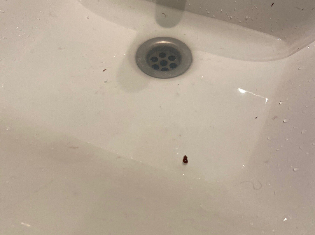 托尼度假酒店主图