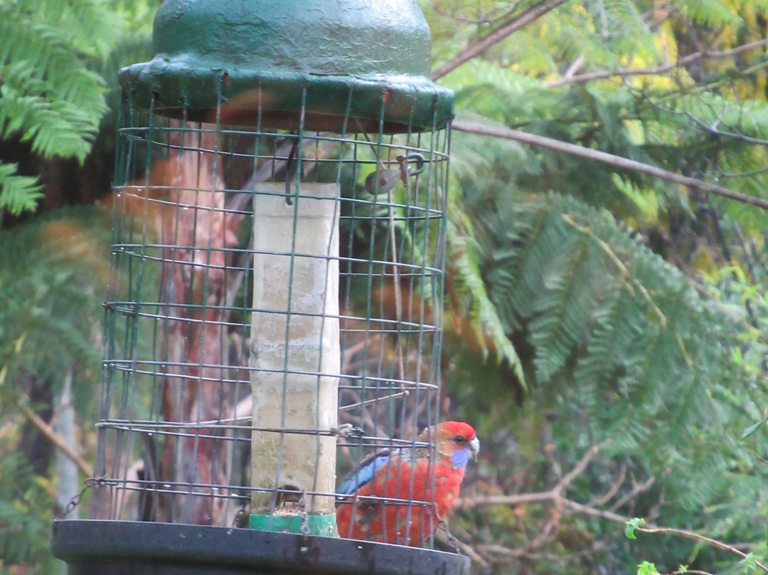 阿德莱德希尔斯酒店 住宿&早餐主图