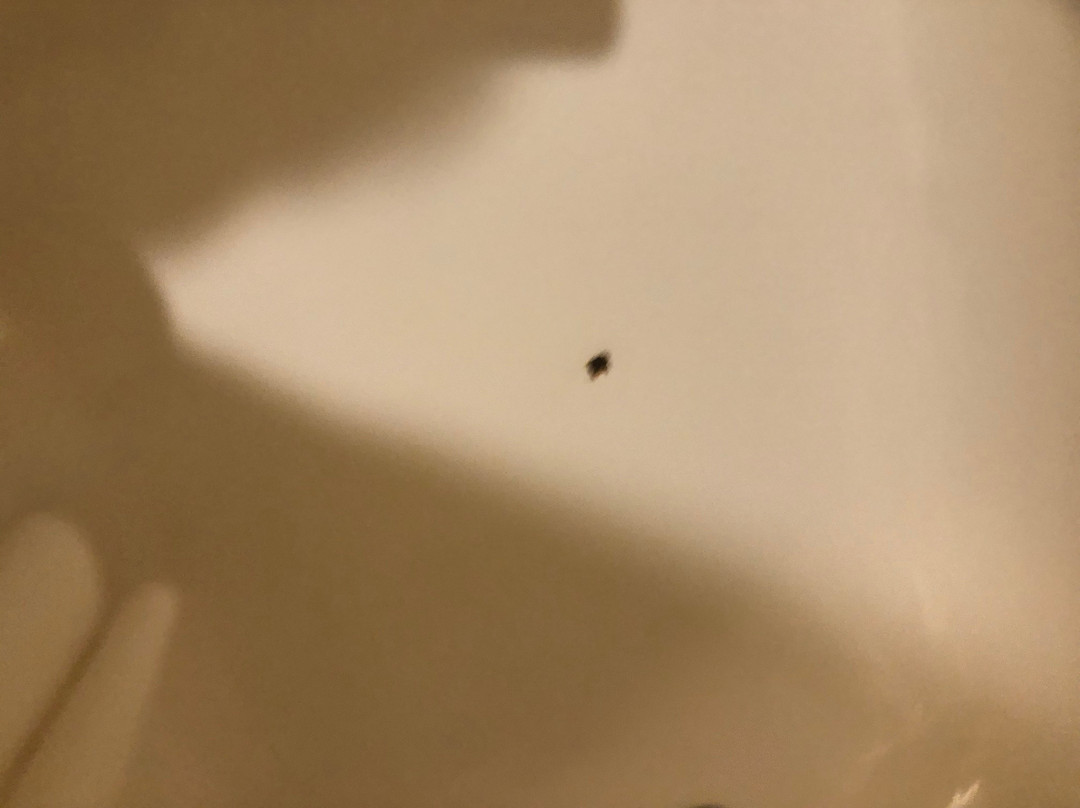 使馆旅馆&套房酒店主图