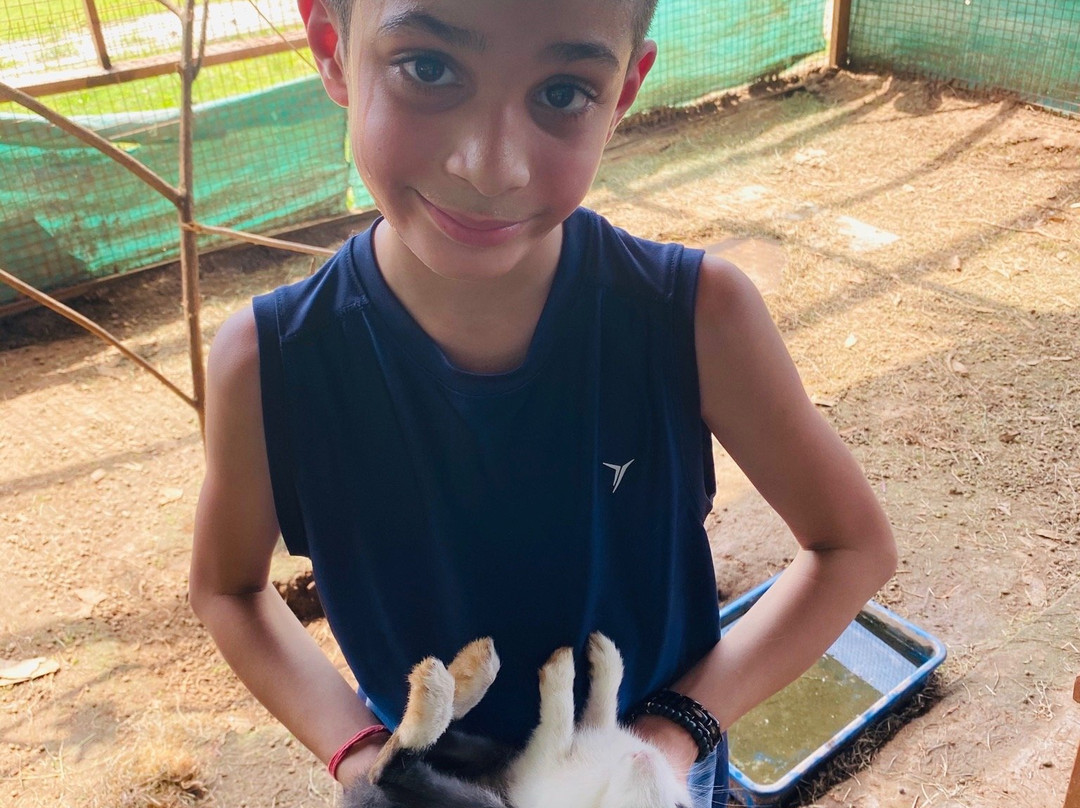 Vananchal Resort主图