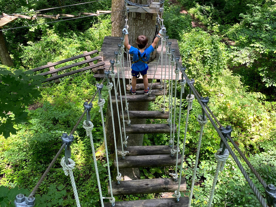 The Adventure Park At Sandy Spring-Sandy Spring必去景点