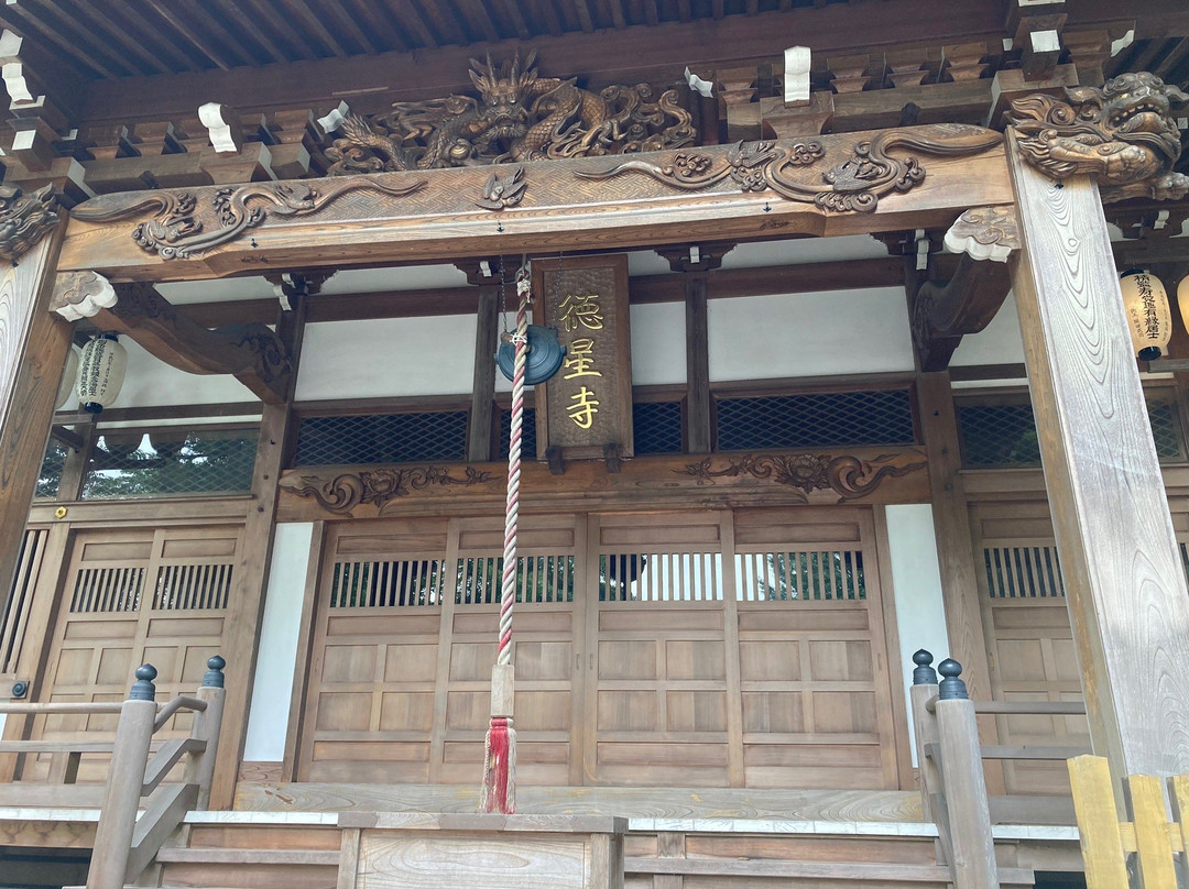 Tokusho-ji Temple-上尾市必去景点