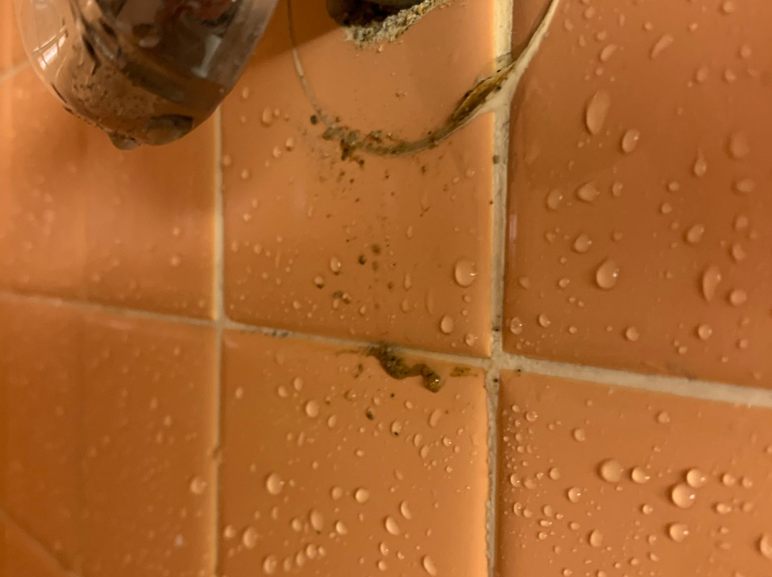 Econo Lodge Hermitage主图