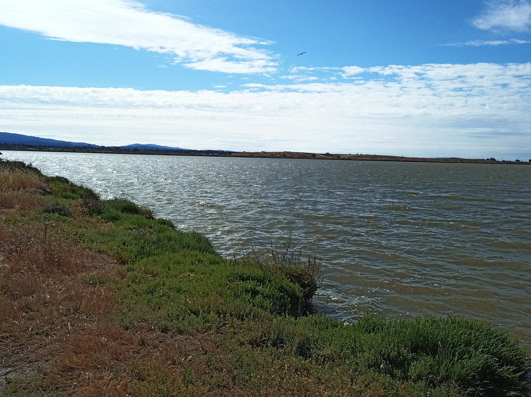 帕罗奥图海湾湿地自然保护区-帕罗奥多必去景点