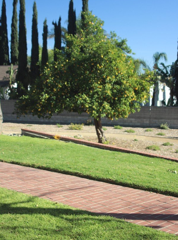 John Galvin Park-安大略必去景点