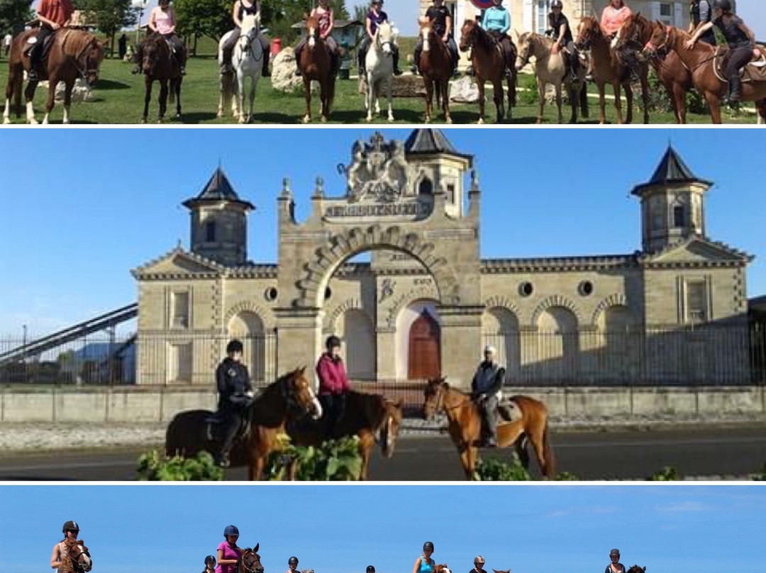 Centre de Tourisme Equestre de St Vivien景点图片