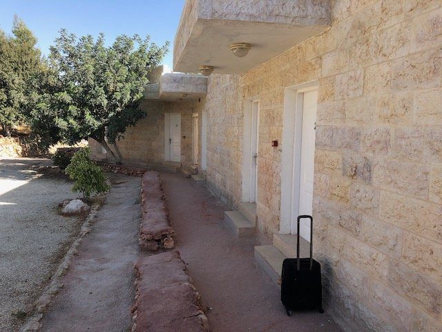 橄榄枝酒店主图