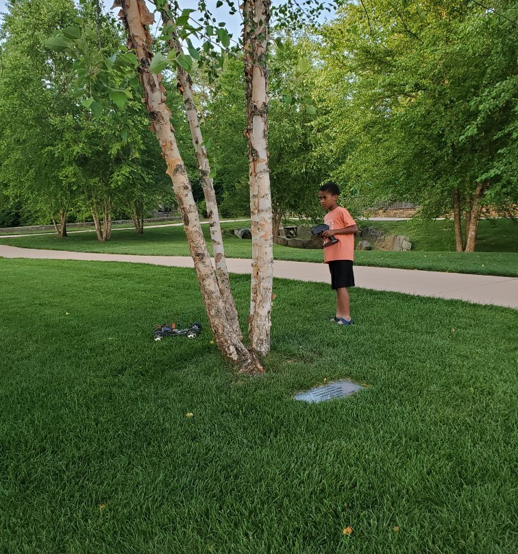 Dogwood park-库克维尔必去景点