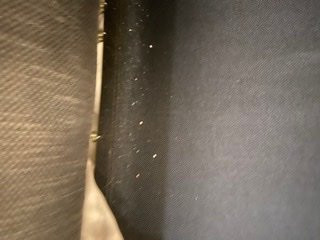 La Quinta Inn by Wyndham Sandusky Near Cedar Point主图