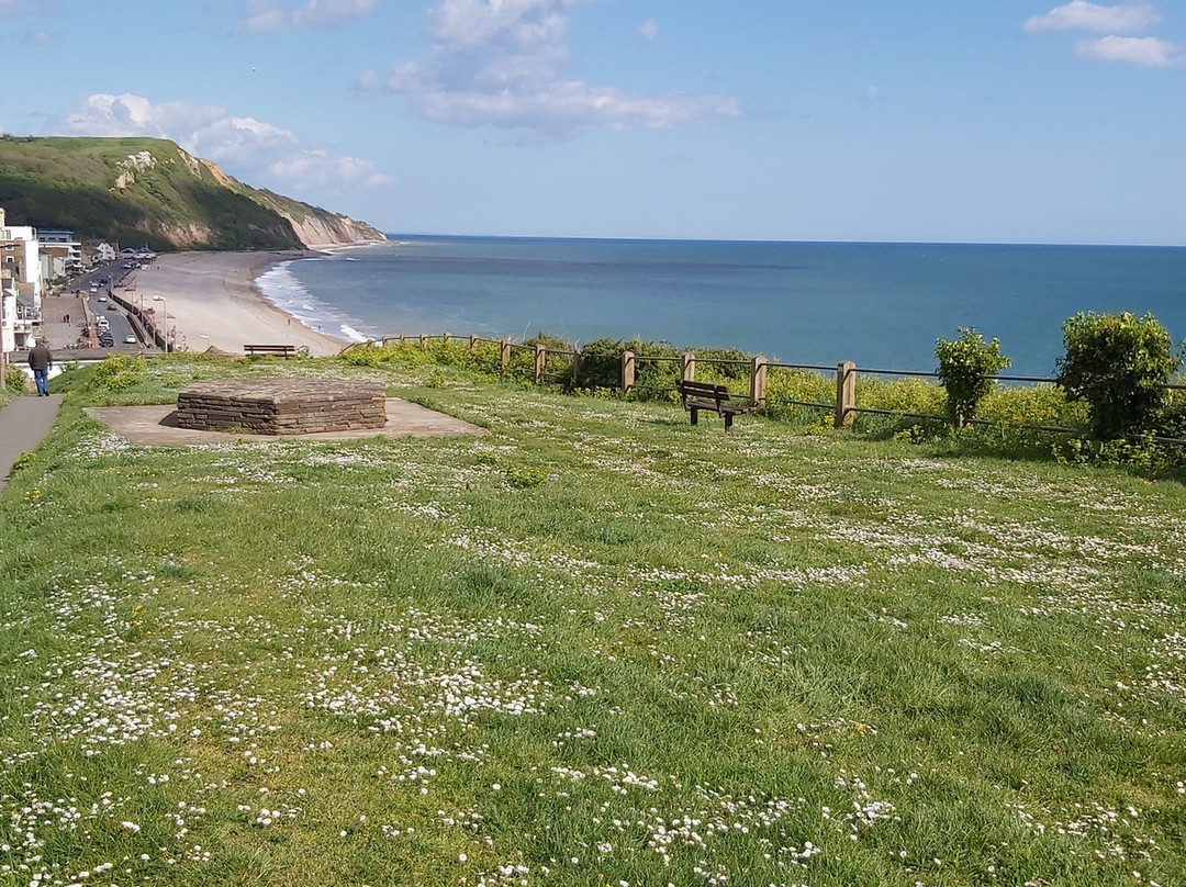 Cliff Field Gardens