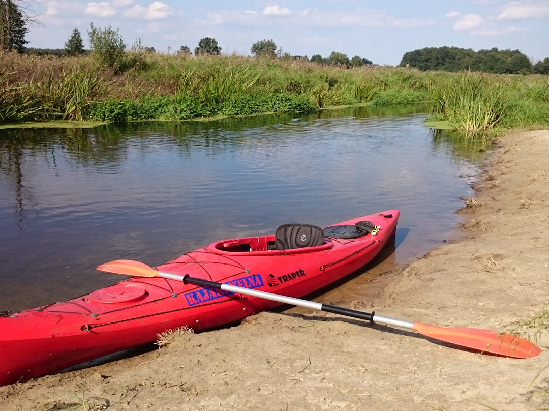 Kajakiem Po Wełnie-Potrzanowo必去景点