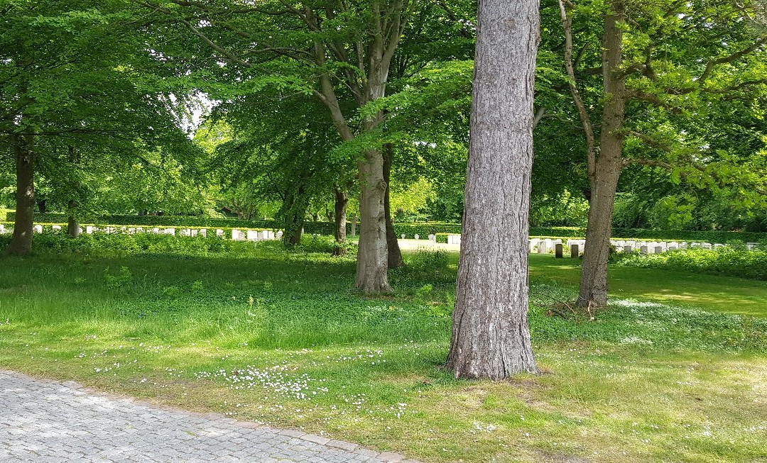 Favrlund Gravlund (War cemetery)-艾斯堡必去景点