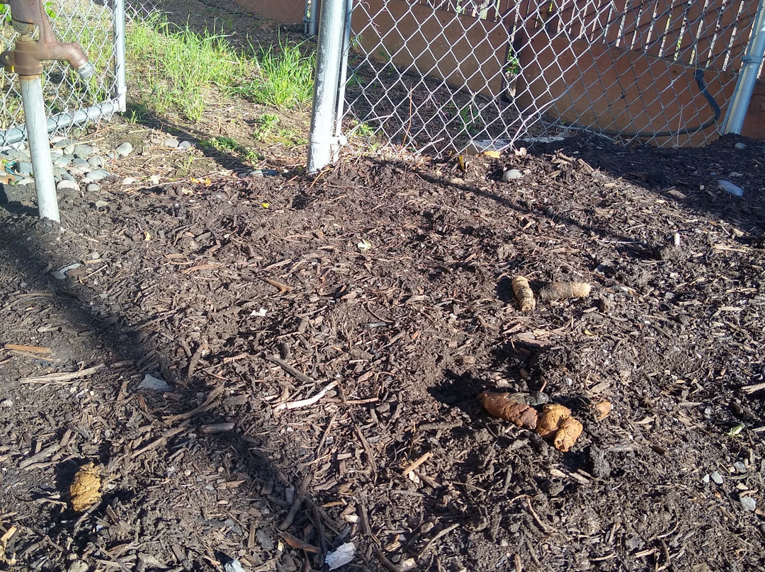 FairBridge Inn & Suites - Lewiston主图