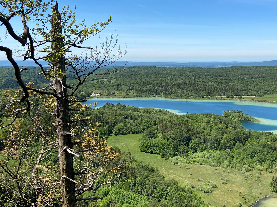 Belvedere des Quatre Lacs-La Chaux-du-Dombief必去景点