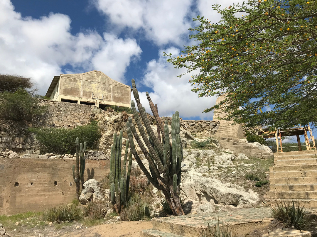 Aruba Kayak Adventure-Pos Chiquito必去景点