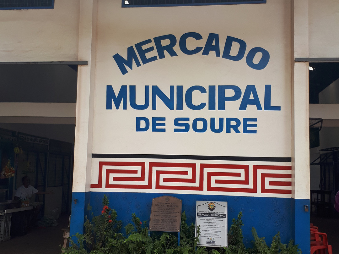 Mercado Municipal de Soure景点图片