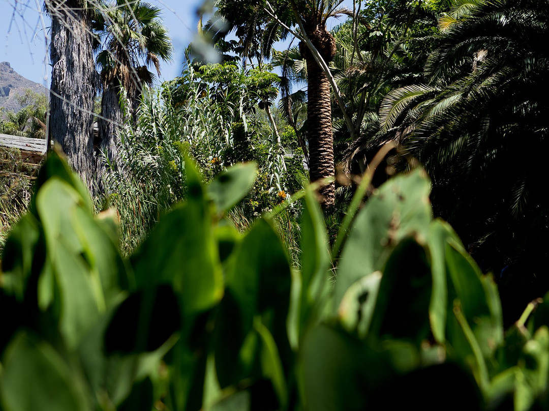 Parque Ecologico Las Aguilas del Teide-特纳里夫必去景点